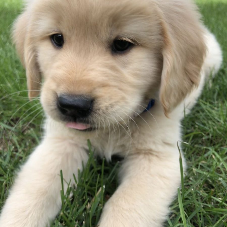 WhatsApp Image 2024-07-10 at 5.47.27 AM (1)