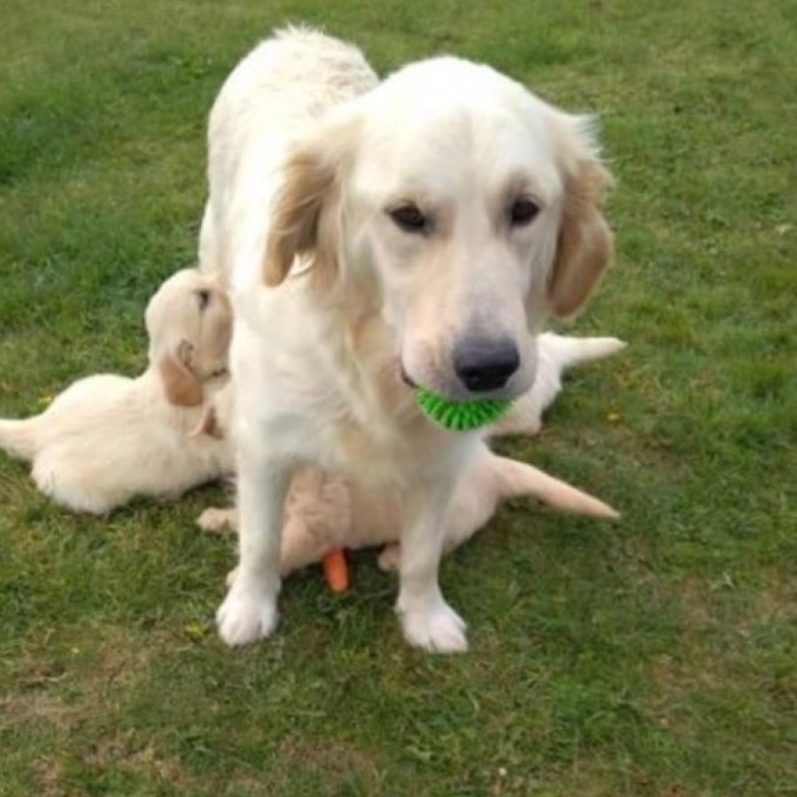 WhatsApp Image 2024-10-16 at 10.46.46 AM