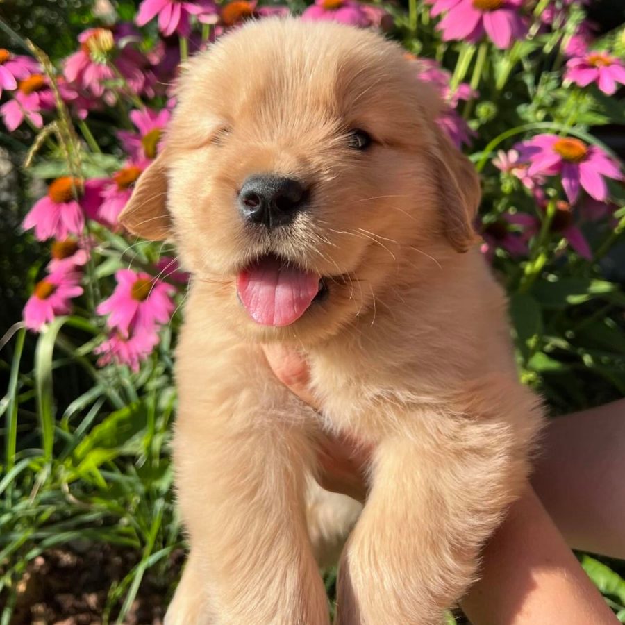 WhatsApp Image 2024-10-17 at 04.51.49 (1)